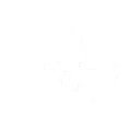fiber-source