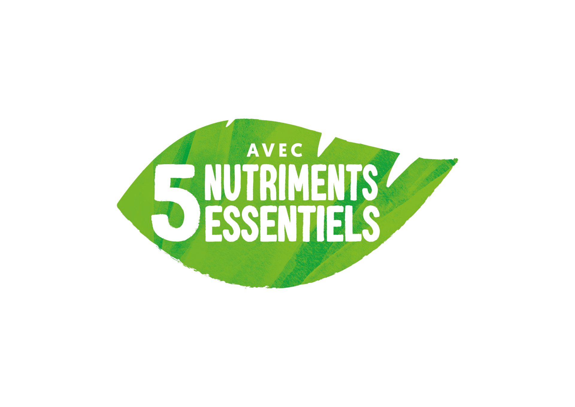Five Essentials