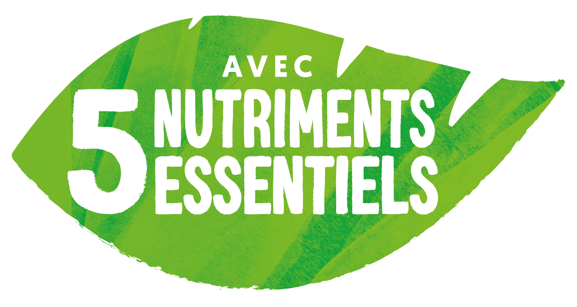Five Essentials