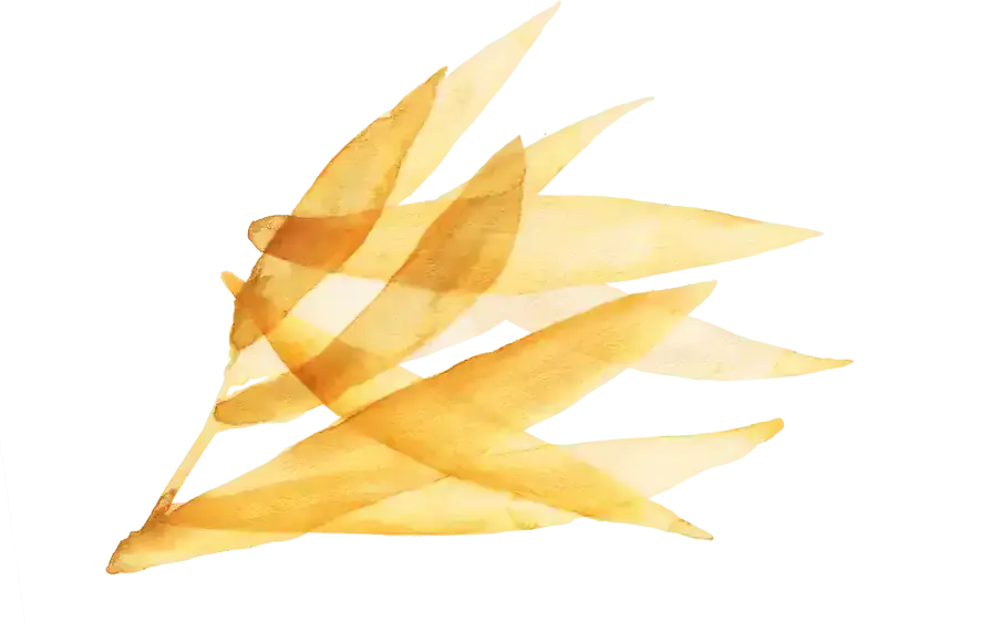 alpro