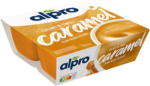 Sweet Creamy Caramel Dessert