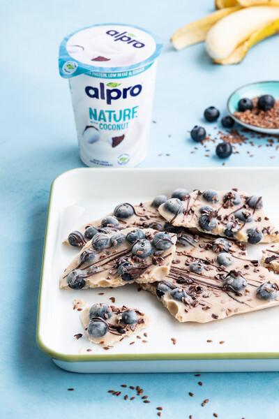 Frozen Bluberry Bark
