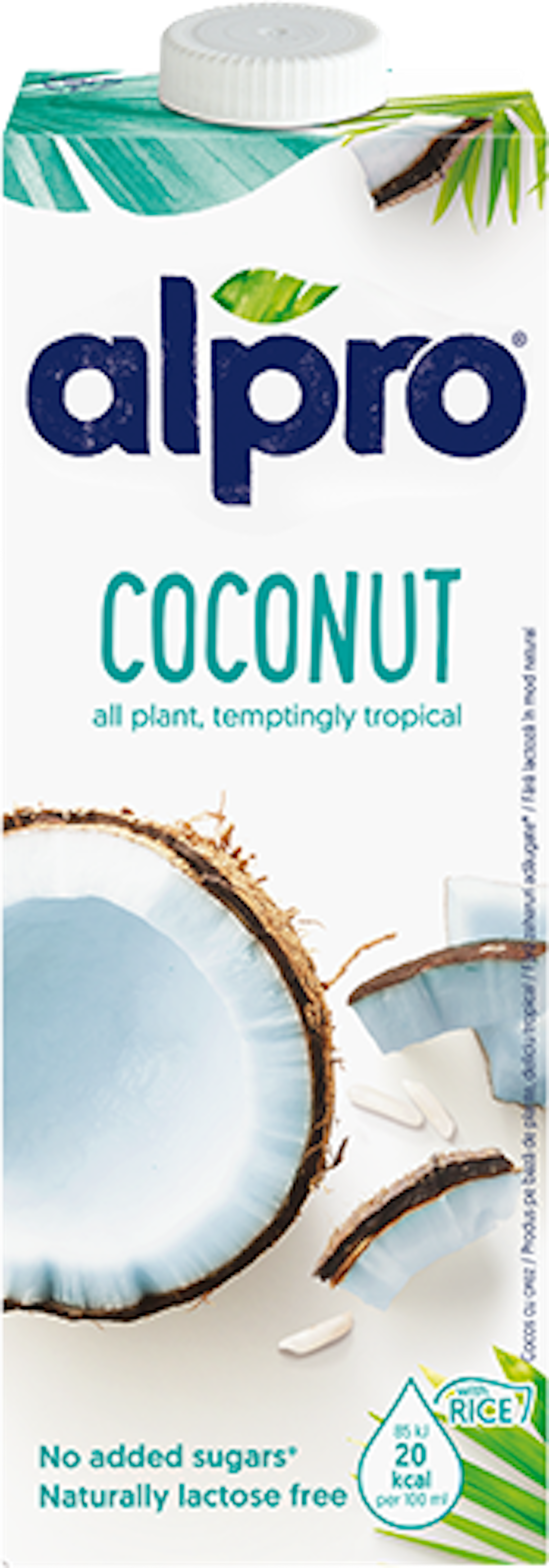 Coconut Original