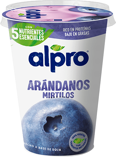 ARÁNDANOS