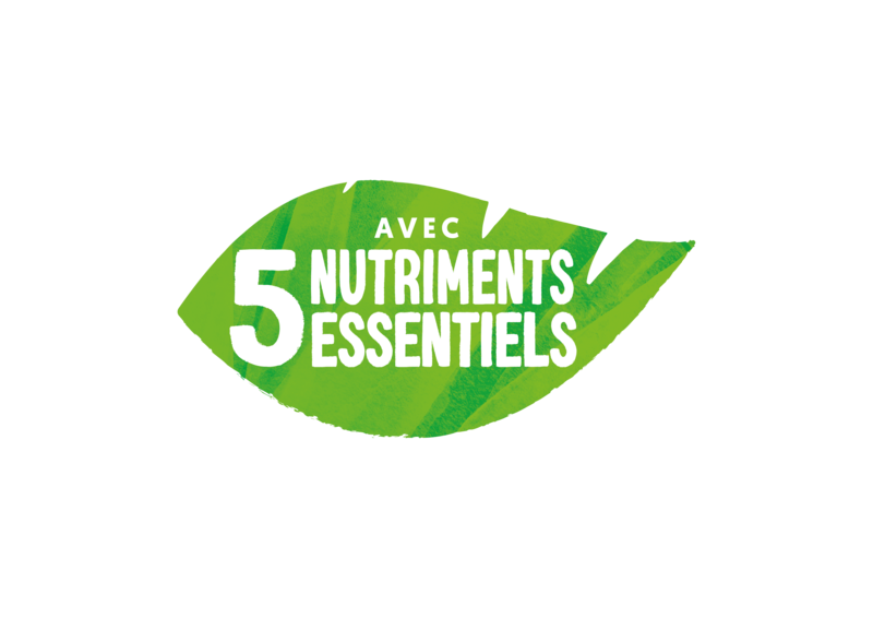 Five Essentials