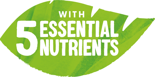 Five Essentials