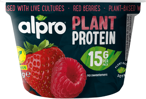 Pudding Alto en Proteína Chocolate (2)