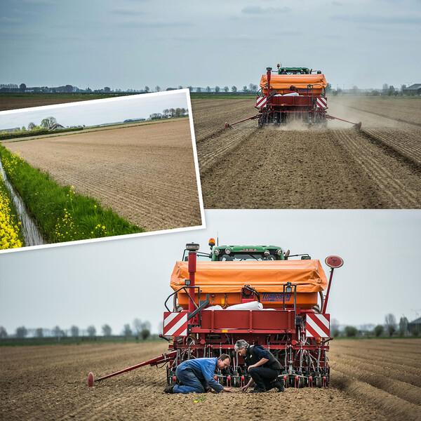 Millions invested and high level of recruitment three years running at Alpro