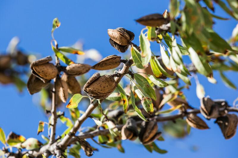 More plant-based foods can save government over a billion euros