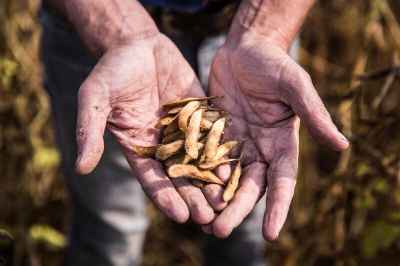 Alpro is the first Belgian company to participate in ‘One Planet Thinking’.